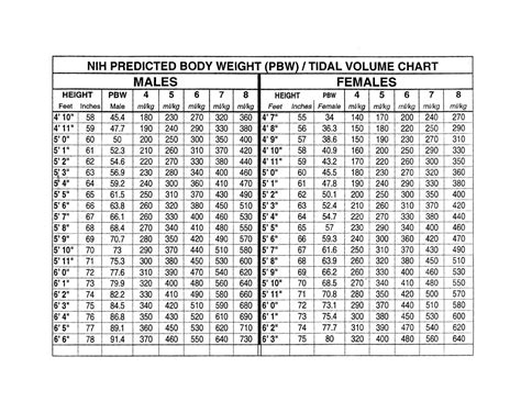 cc 6|6 cc kg.